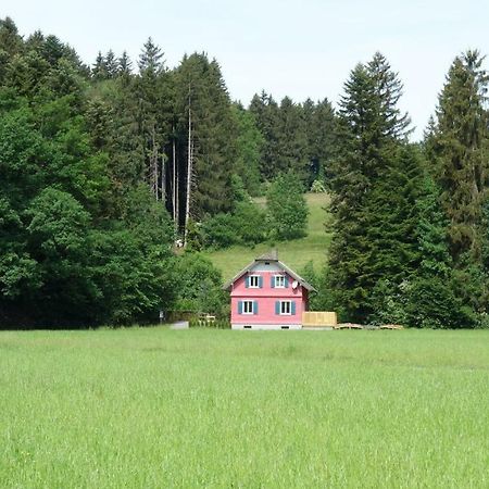 Erwins Ferien-Paradies Hörbranz Exterior foto