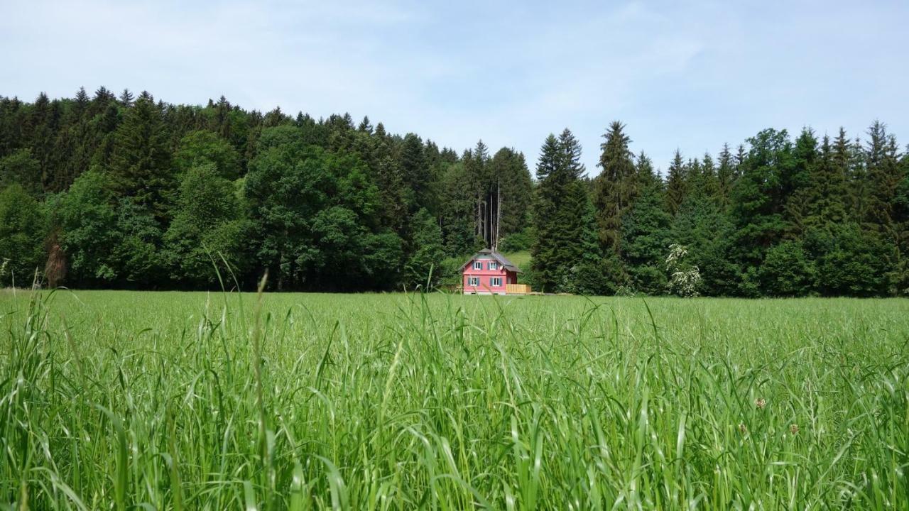 Erwins Ferien-Paradies Hörbranz Exterior foto